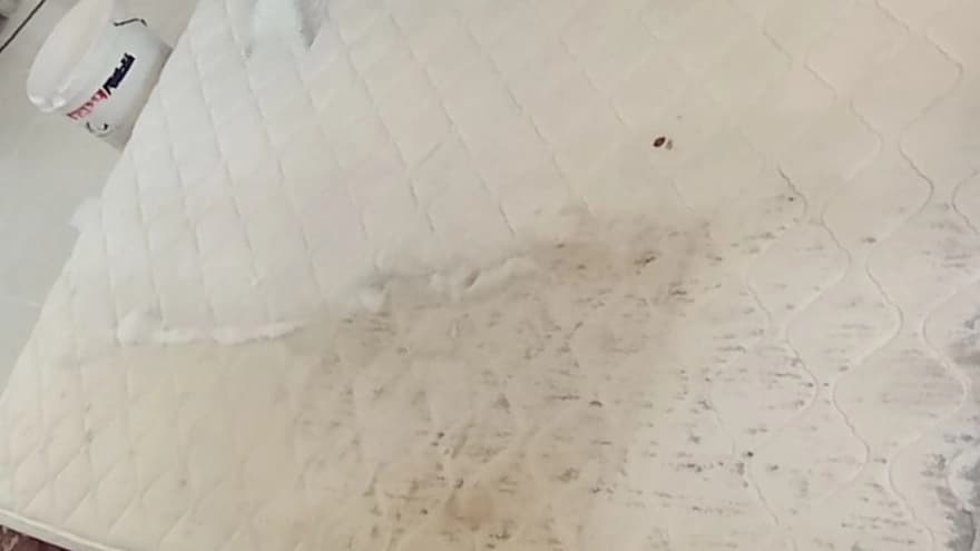 مبلشویی تخصصی در قائمشهر